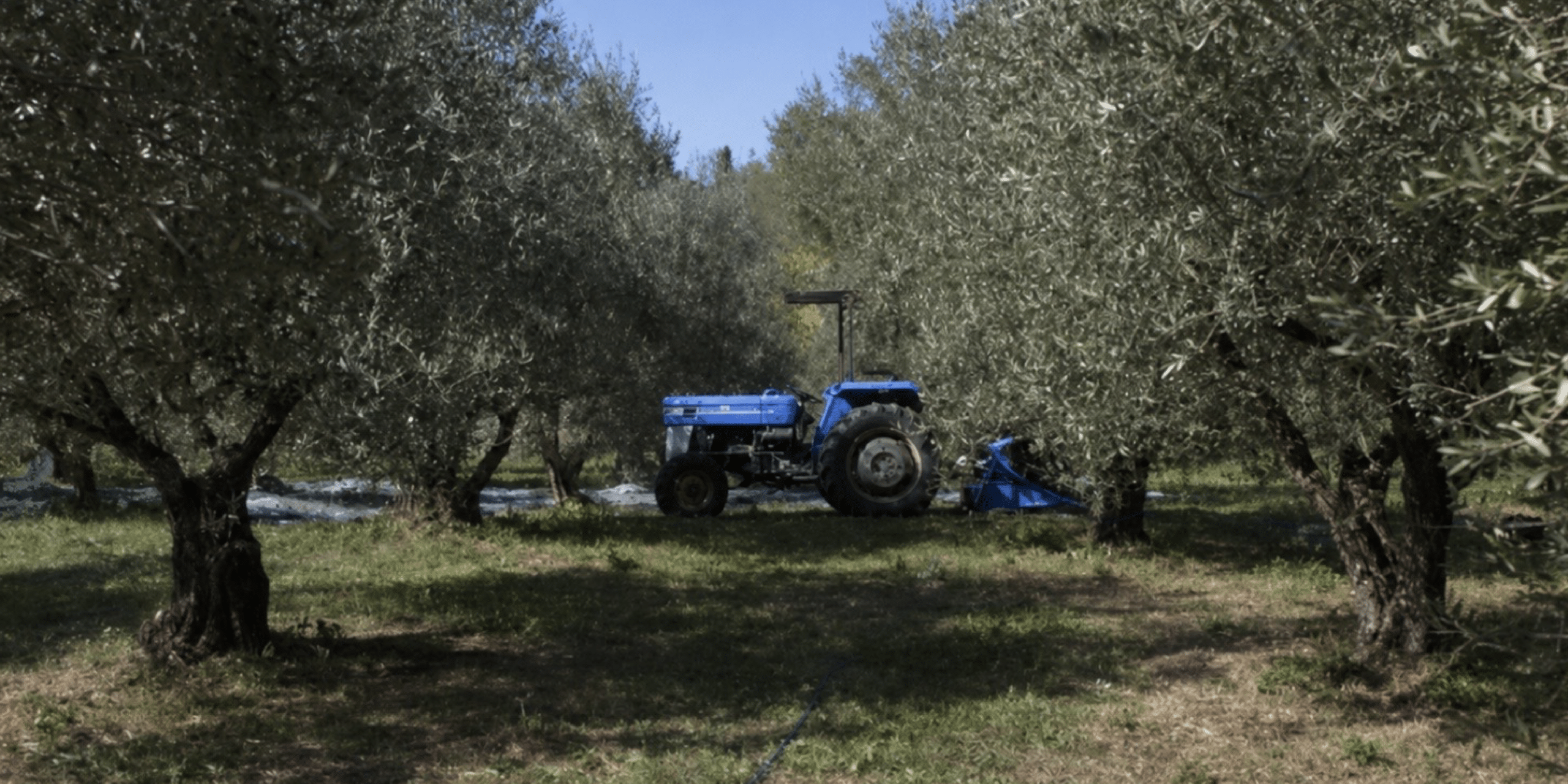 tractor