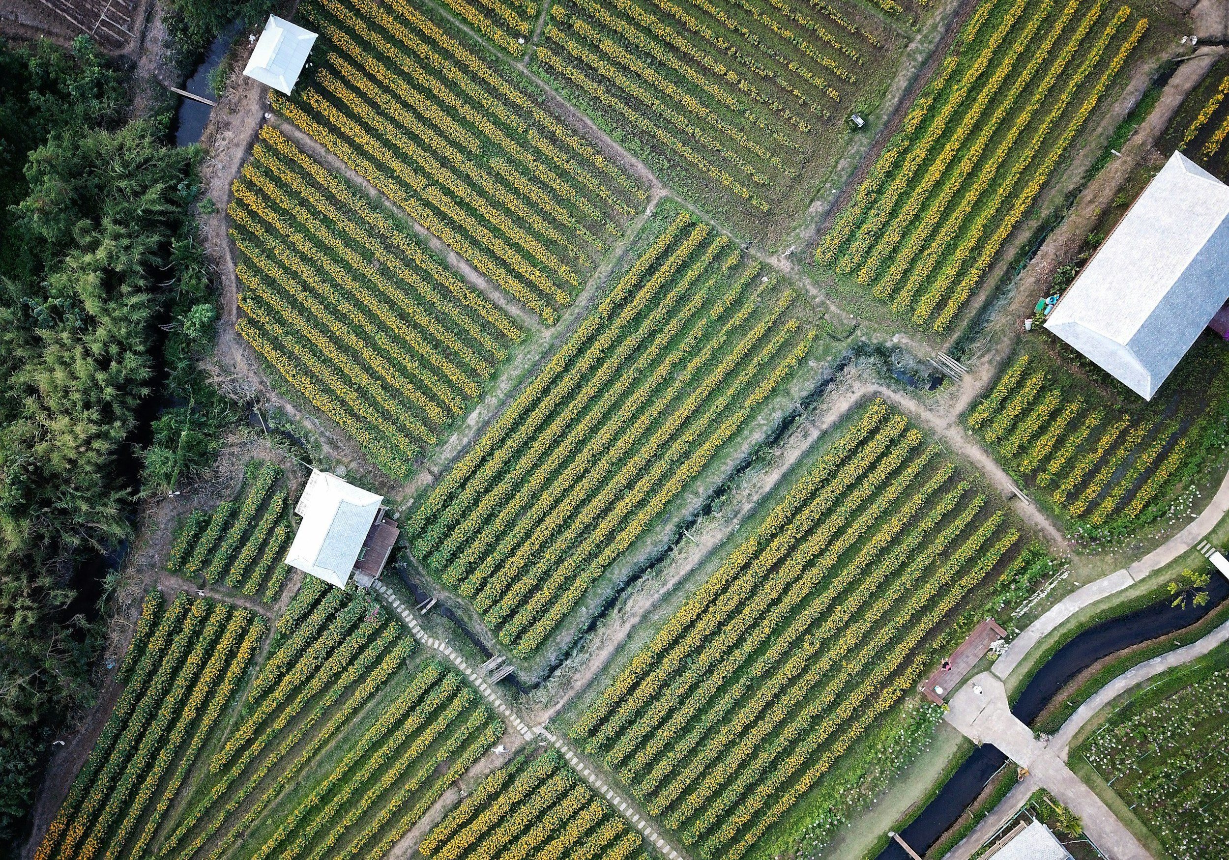 unsplash-image--sU_RX6M0qc